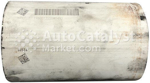 Цена б/у катализатора  1980012255W0492 (DPF monolith) — Фото № 1 | AutoCatalyst Market