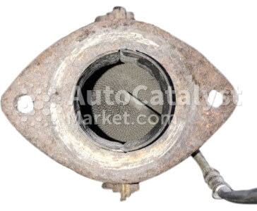 LWR - Photo № 3 | AutoCatalyst Market