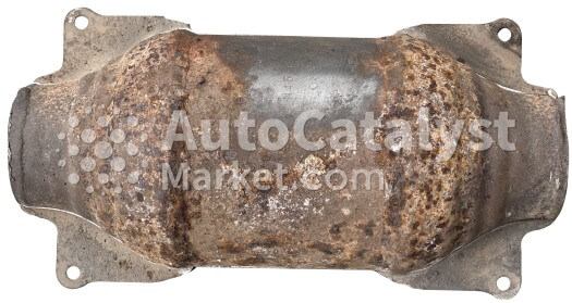 N45  A24454 - Photo № 1 | AutoCatalyst Market