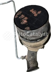 1028514X (DPF) - Photo № 4 | AutoCatalyst Market