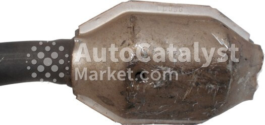 DDG06 - Photo № 1 | AutoCatalyst Market