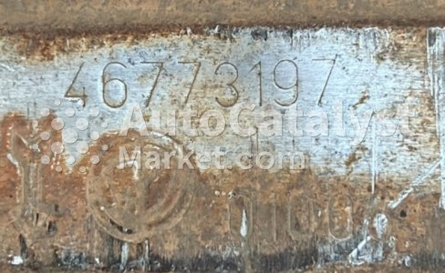 46773197 - 照片 № 1 | AutoCatalyst Market