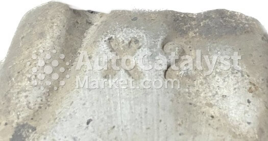 X2 (100%) (Nissan) - Photo № 9 | AutoCatalyst Market