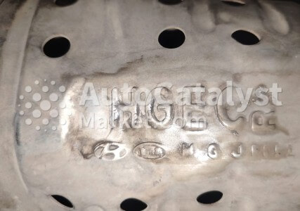 HGEC - Foto № 1 | AutoCatalyst Market