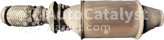 443131701N - الصورة № 5 | AutoCatalyst Market