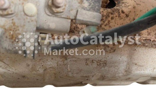 LFS8 - Photo № 2 | AutoCatalyst Market