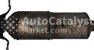 60669668 - Photo № 1 | AutoCatalyst Market