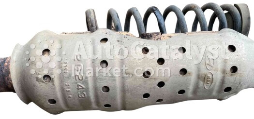 2G243 - Photo № 1 | AutoCatalyst Market