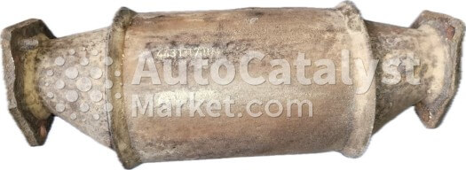 443131701N - الصورة № 1 | AutoCatalyst Market