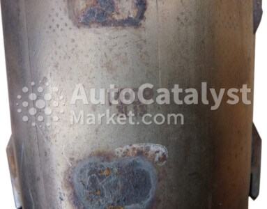 PE09 - Photo № 2 | AutoCatalyst Market