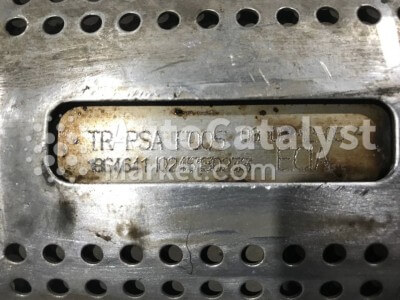 TR PSA F005 (DPF) - Фото № 3 | AutoCatalyst Market