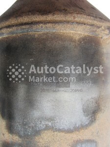 2315166X - Photo № 3 | AutoCatalyst Market