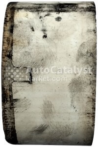 Schrottpreis katalysator W2583D0900 (CERAMIC monolith) ➜ Schrottpreis ab 2025-12-07 — Foto № 1 | AutoCatalyst Market