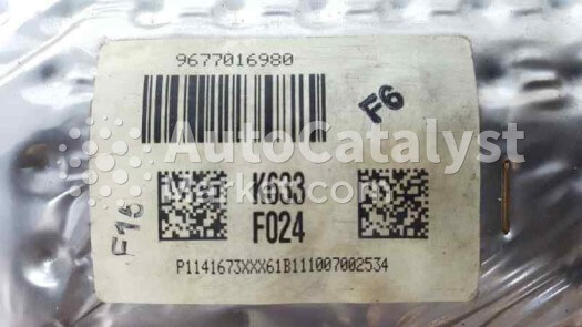 TR PSA K633 + F024 (DPF) - Foto № 2 | AutoCatalyst Market