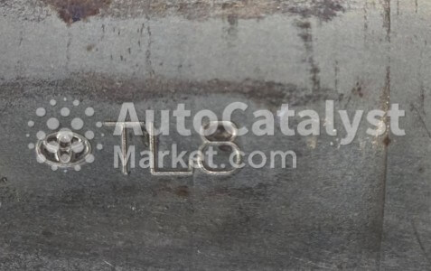 TL8 - الصورة № 2 | AutoCatalyst Market
