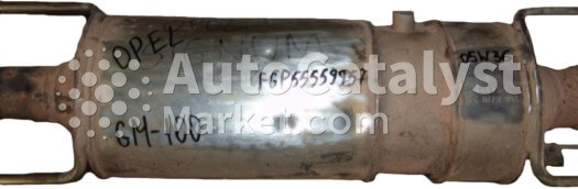 GM 100 (CERAMIC+DPF) - Photo № 1 | AutoCatalyst Market
