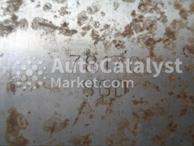 Precio de catalizador 78170 (CERAMIC+DPF) usado (chatarra) — Foto № 2 | AutoCatalyst Market
