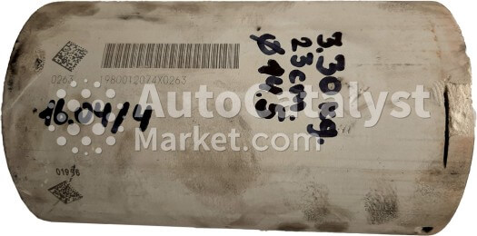 1980012074X0263 (DPF monolith) - Фото № 1 | AutoCatalyst Market