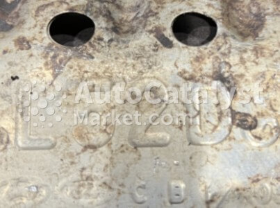 L52D - Foto № 1 | AutoCatalyst Market