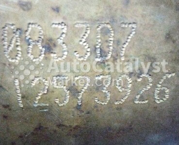 12573926 Catalytic Converter Scrap Price — Photo № 5 | AutoCatalyst Market