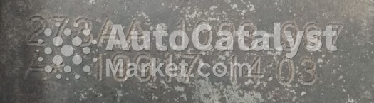 273AA - Photo № 1 | AutoCatalyst Market